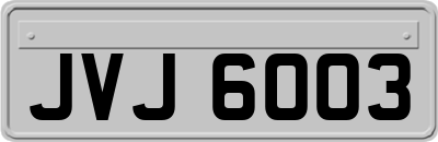 JVJ6003