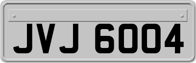 JVJ6004