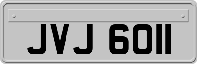 JVJ6011