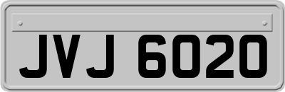 JVJ6020