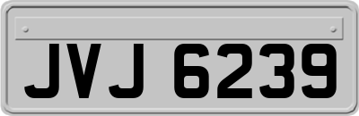 JVJ6239