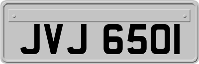 JVJ6501