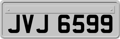 JVJ6599