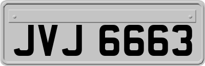 JVJ6663