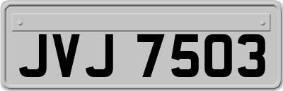 JVJ7503