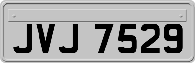 JVJ7529