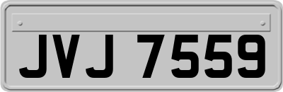 JVJ7559