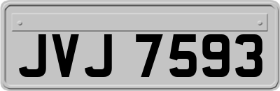 JVJ7593