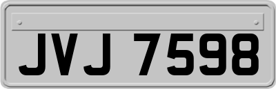 JVJ7598