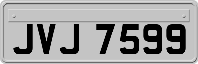 JVJ7599