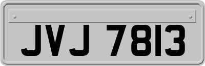 JVJ7813