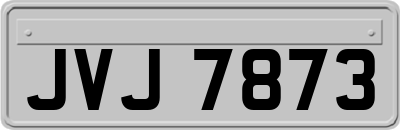 JVJ7873