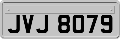 JVJ8079