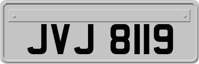 JVJ8119