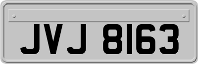 JVJ8163