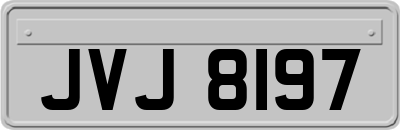 JVJ8197