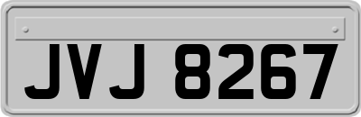 JVJ8267