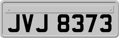 JVJ8373