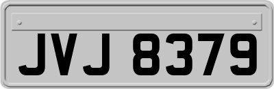JVJ8379