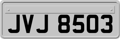 JVJ8503