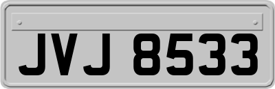 JVJ8533