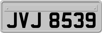 JVJ8539