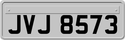 JVJ8573