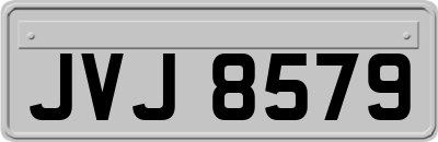 JVJ8579
