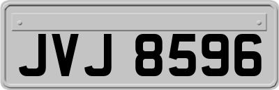 JVJ8596