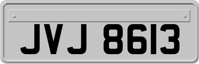 JVJ8613