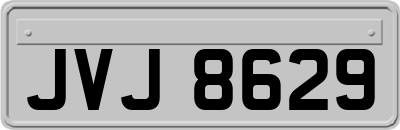 JVJ8629