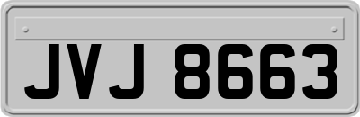 JVJ8663