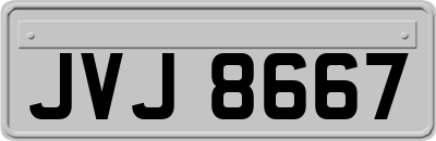 JVJ8667
