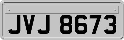 JVJ8673