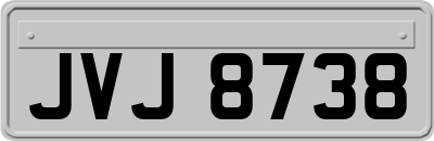 JVJ8738