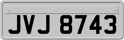 JVJ8743