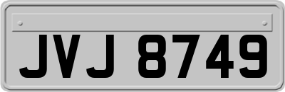 JVJ8749