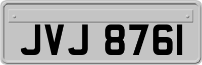 JVJ8761