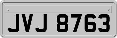 JVJ8763