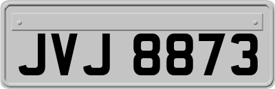 JVJ8873