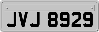 JVJ8929
