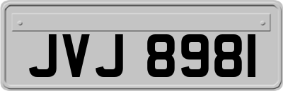 JVJ8981