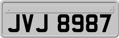 JVJ8987