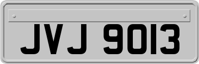 JVJ9013