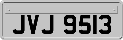 JVJ9513