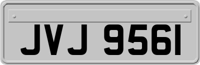 JVJ9561