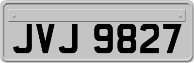 JVJ9827