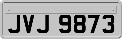 JVJ9873