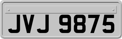 JVJ9875