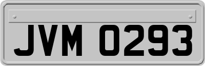 JVM0293